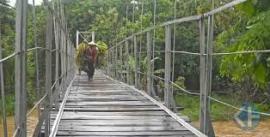 Impian Ngleri dan Pengkok akan jembatan penghubung Sebentar Lagi Segera Terwujud